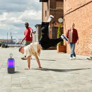  Green lion Palma 2 Speaker