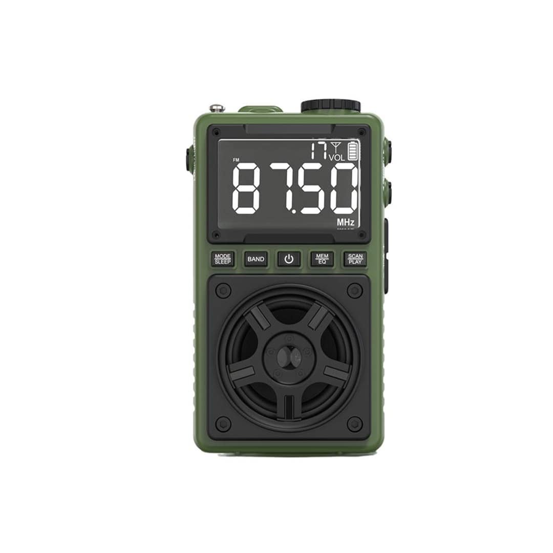 Green Lion Voyager Portable Radio خرید