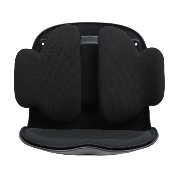 Green Lion Lumbar Pro Adjustable Back Support
