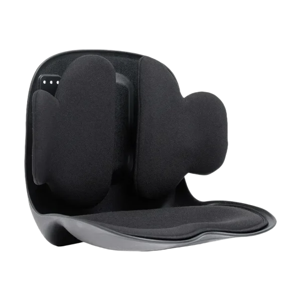 پشتی کمری قابل تنظیم لامبار پرو گرین Green Lion Lumbar Pro Adjustable Back Support