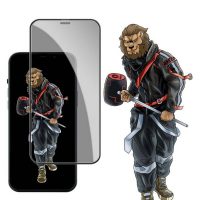 محافظ صفحه نمایش فورت پرایوسی گرین Green Forte Privacy Glass 13/13pro