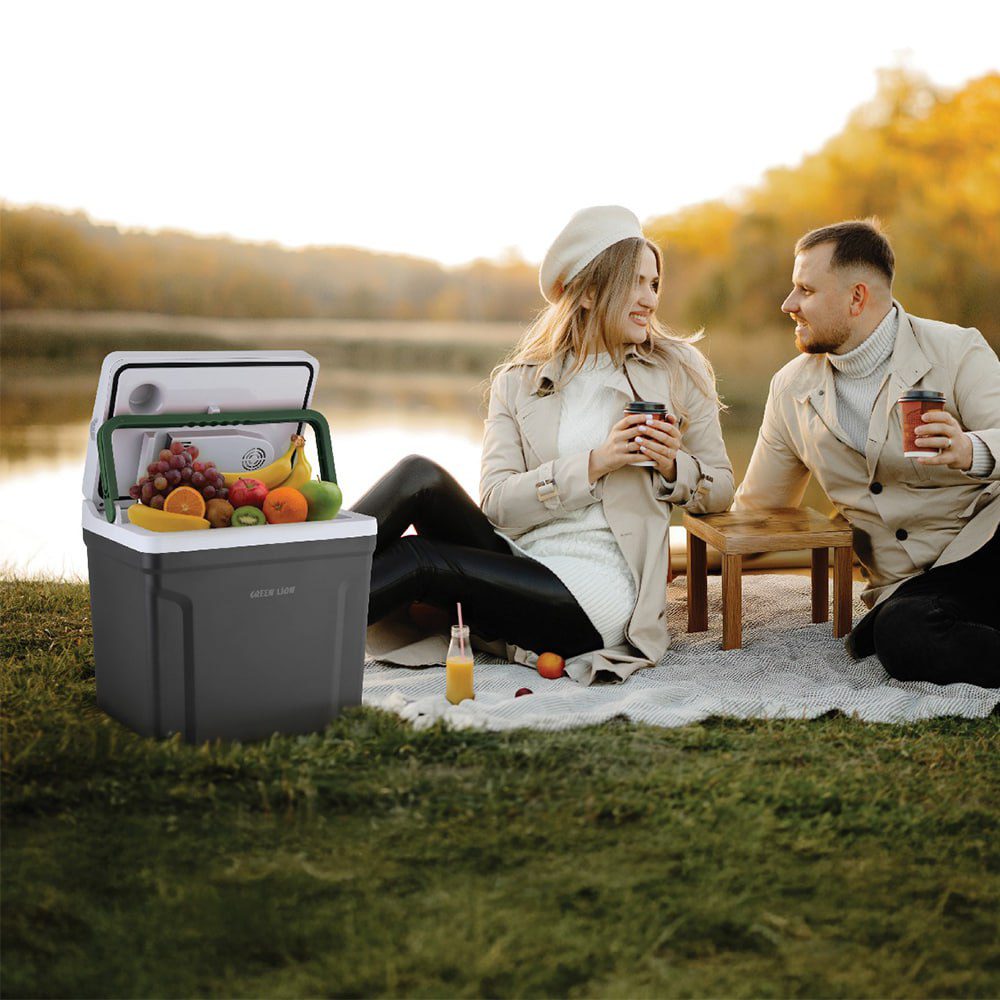 یخچال برقی گرمایشی و سرمایشی های وی گرین Green Lion Highway Electric Heating and Cooling Fridge