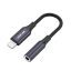 Green Lion Lightning to 3.5mm Audio Cable خرید