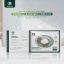 Green magnetic ring stand