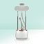 عمده Green Garment Steamer Pro With Ironing Board