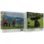 Green Lion 2IN1 Foldable Table And Stool