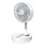 پنکه تاشو 8 اینچی روویو گرین Green Lion Ravio 8" Folding Fan